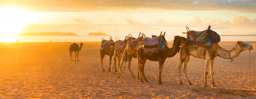 essaouira morocco