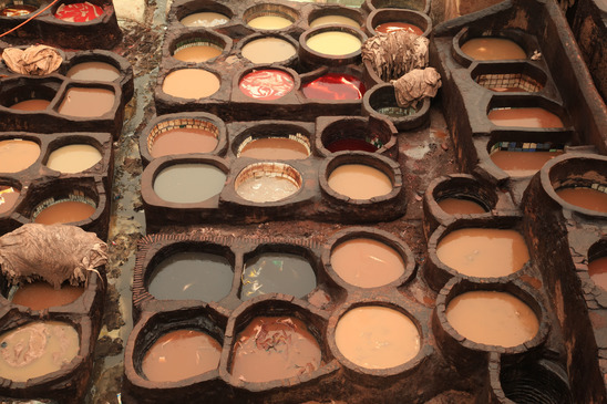 Fez Tannery