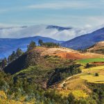 Fields in Bolivia