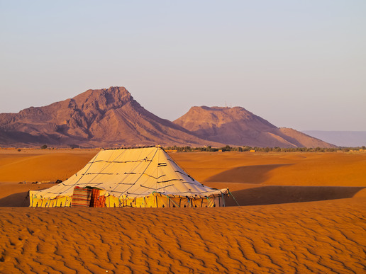 Oasis on the desert, Morocco