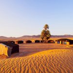 Oasis on the desert, Morocco