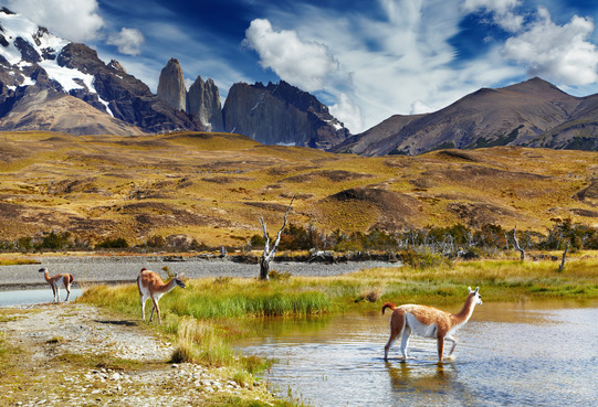 Torres del Paine, Patagonia, Chile