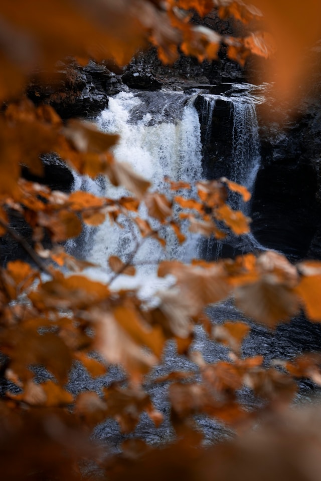 Staffa