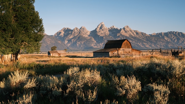 The Beauty of Wyoming