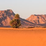 Sahara morocco