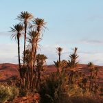 Moroccan landscapes draa valley