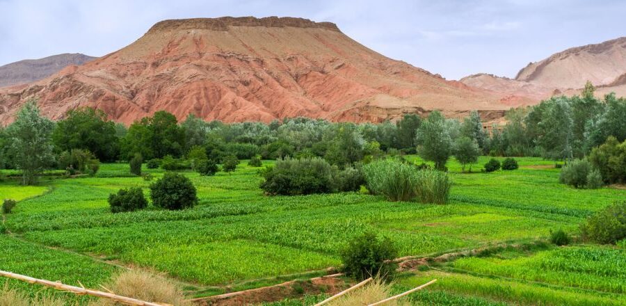 Mountain trekking from Marrakech to the high Atlas