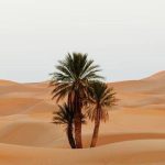 Sahara Desert Tour from Agadir