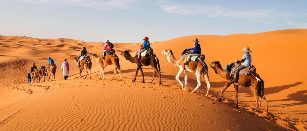 camel trek adventure tour