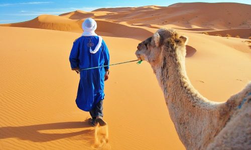 sahara desert morocco