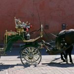 Horse Riding in Morocco