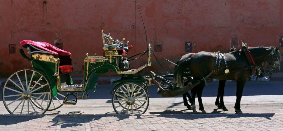 Horse Riding in Morocco