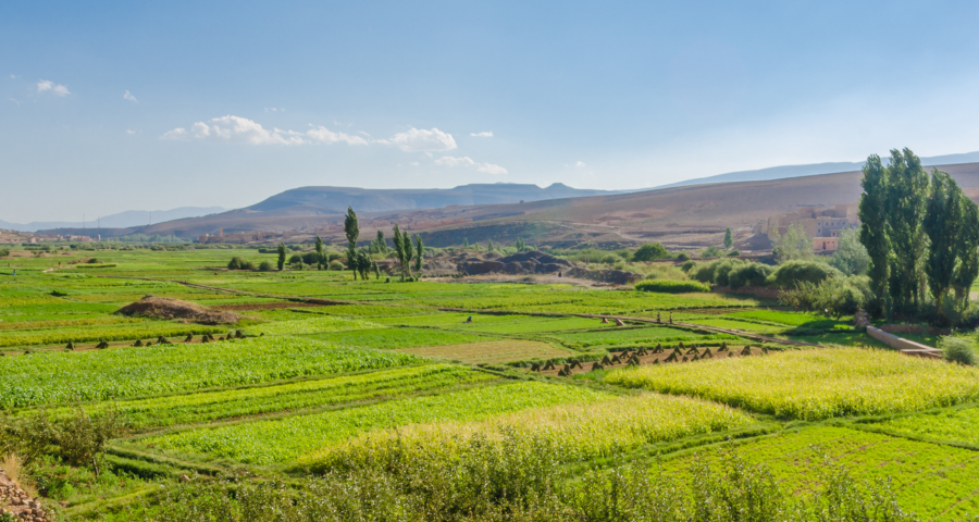 4 Days tour from Marrakech to Merzouga Sahara Desert