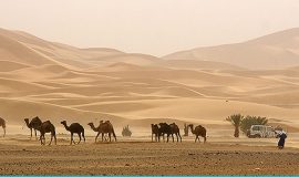 Desert Tours from Marrakech Morocco