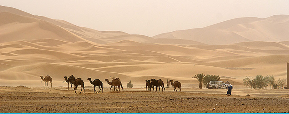 Desert Tours from Marrakech Morocco