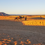 Desert Tour in Marrakech