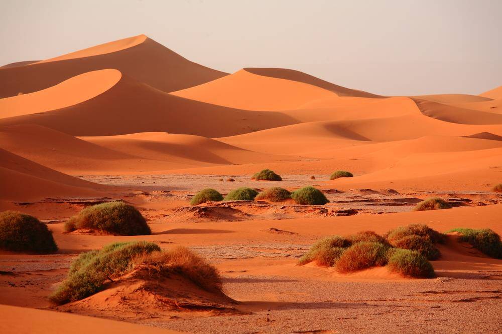 2 Days tour from Ouarzazate to Erg Chigaga Desert