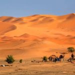 Sahara Desert Tour from Fes to Marrakech