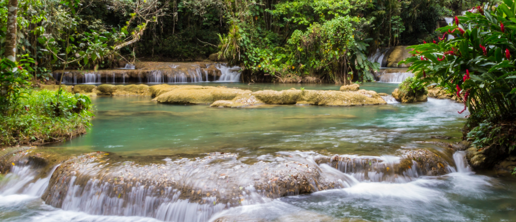 Things to do in YS Falls , Jamaica