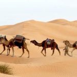 How Far is the Sahara Desert from Marrakech