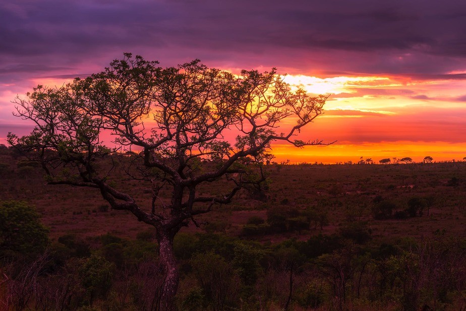 african safari holidays