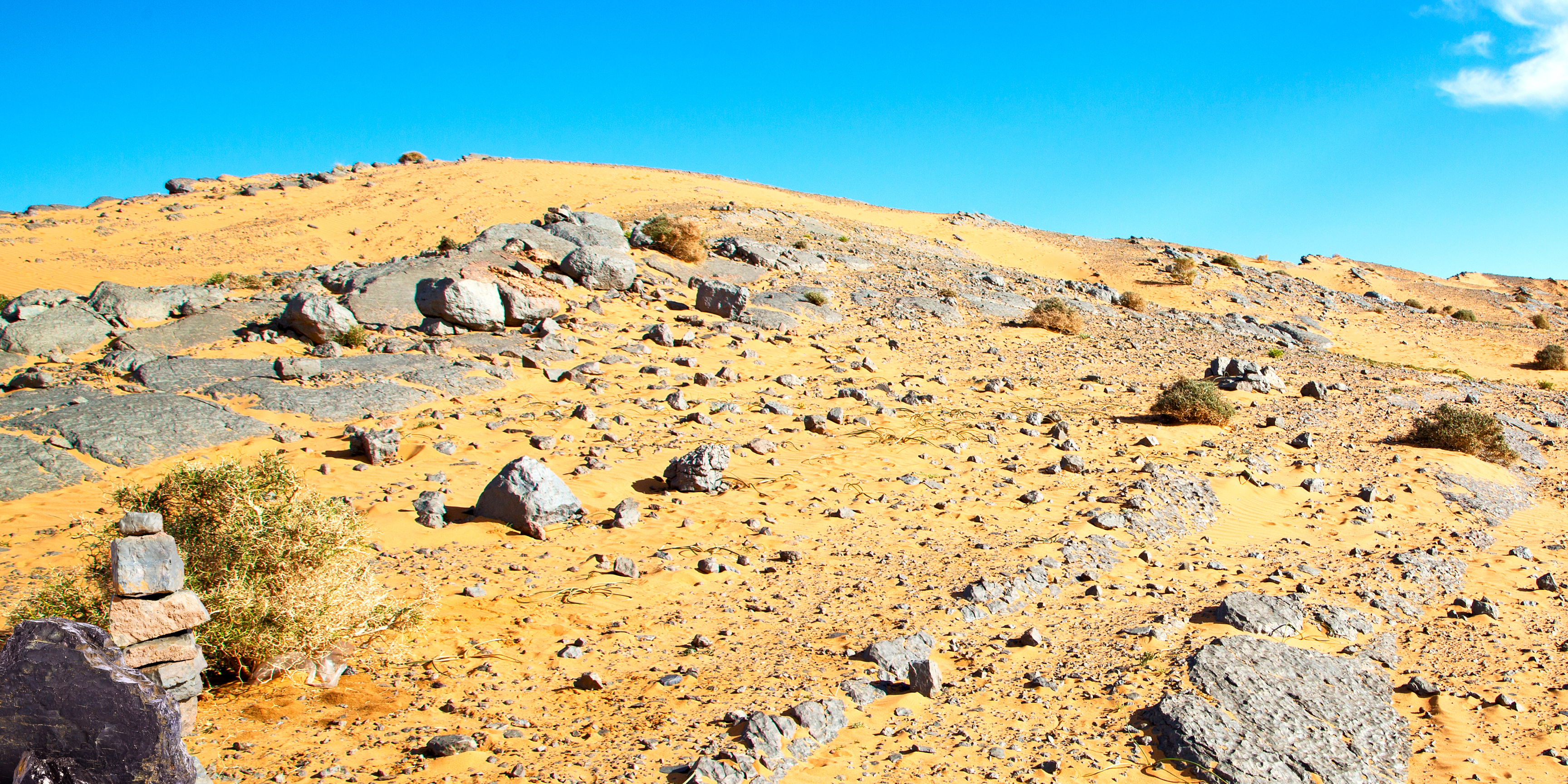 Morocco fossils and minerals