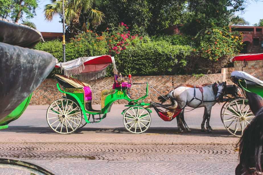 decorated horse-drawn carriages - Morocco