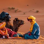 wildlife of Morocco