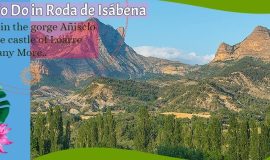 Things To Do in Roda de Isábena