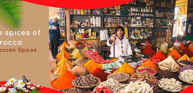 The spices of Morocco Moroccan Spices