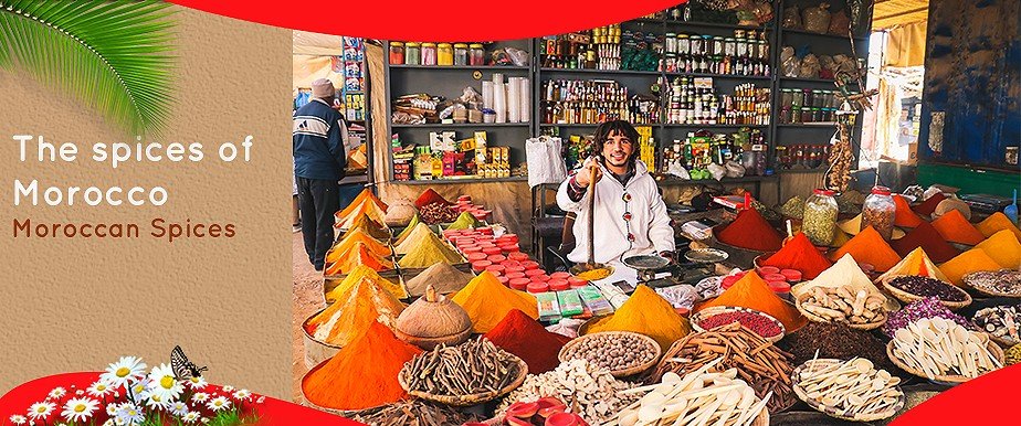 The spices of Morocco Moroccan Spices