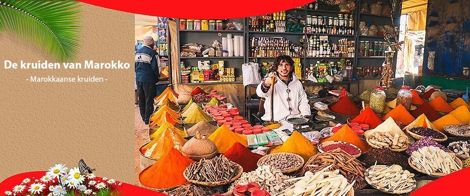 De kruiden van Marokko Marokkaanse kruiden