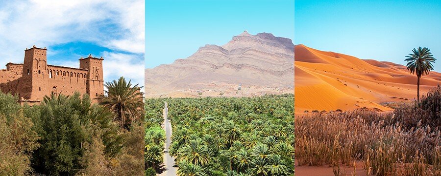 Morocco Desert Tours