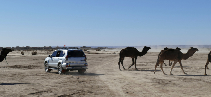 3-Day Desert Tour from Marrakech to Fes