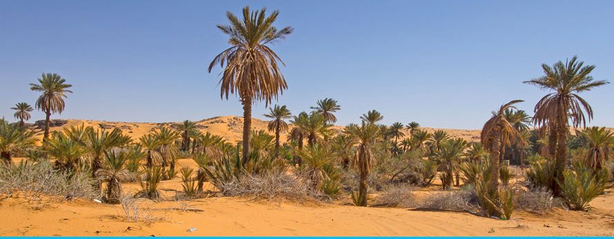 Стоит ли посетить пустыню Сахара?