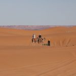 Marrakech to Fes via the desert