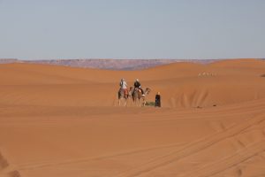 Marrakech to Fes via the desert