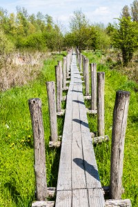 Things To Do in Geraardsbergen, Belgium