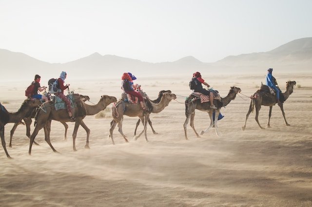 Do tourists visit the Sahara desert?