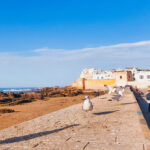 marrakech chefchaouen tour