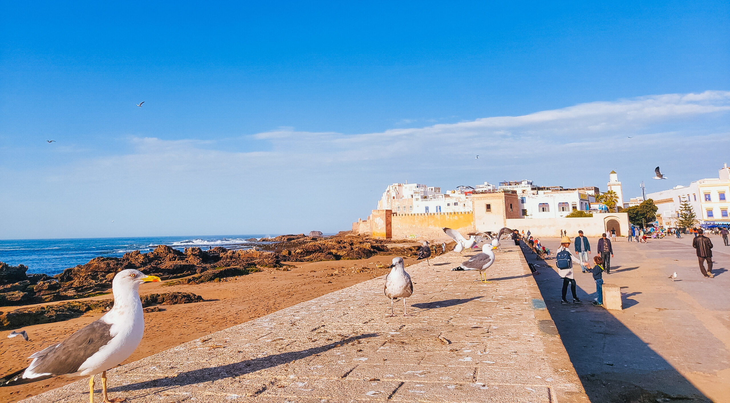 How to Get to Essaouira Beach in Marrakech scaled