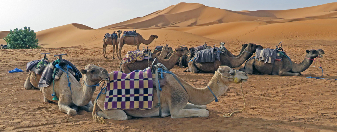 3-day Desert Tour From Marrakech Highlights