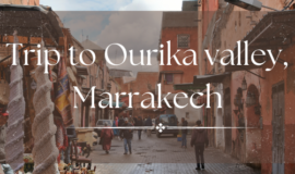 Trip to Ourika valley, Marrakech