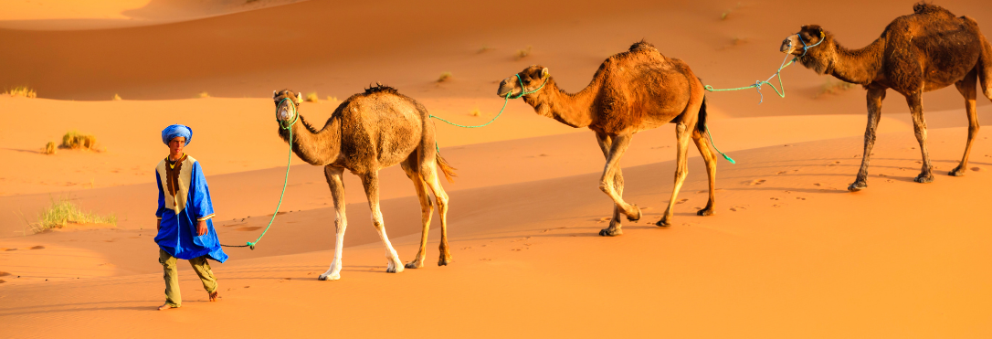 Tribal way of life Tuareg life