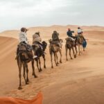 Journey to Morocco's Desert