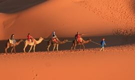 صحراء المغرب جولات موجّهة من مراكش