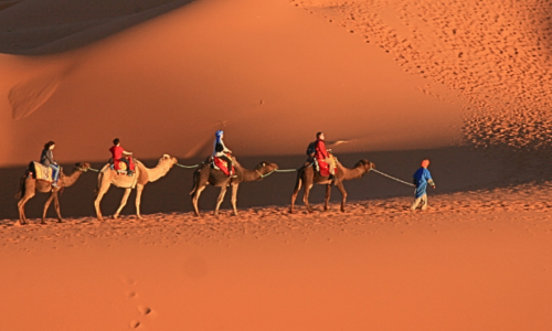 صحراء المغرب جولات موجّهة من مراكش