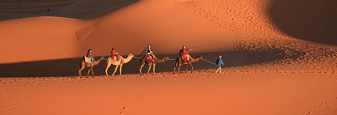 صحراء المغرب جولات موجّهة من مراكش