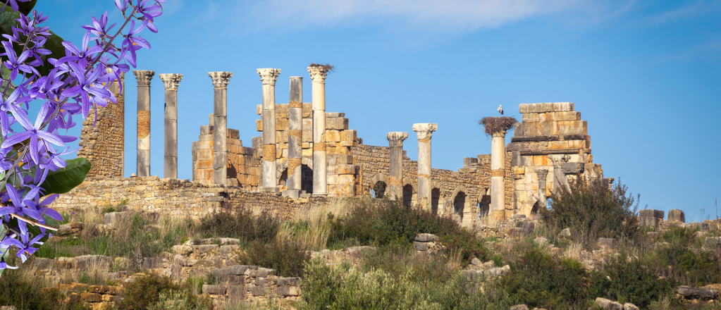 Volubilis - Roman Ruins in Morocco