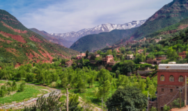 1 Day Ourika valley trip from Marrakech